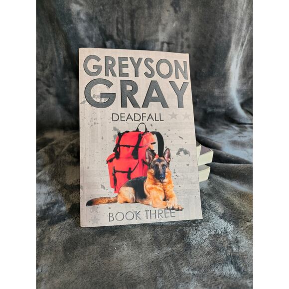 Grayson Gray 1-4 Book Series  by B.C. Tweed - Picture 5 of 6